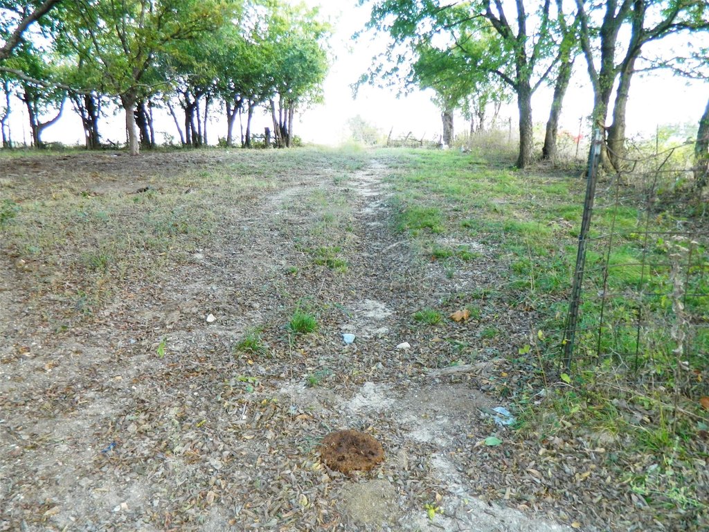 Picture 7