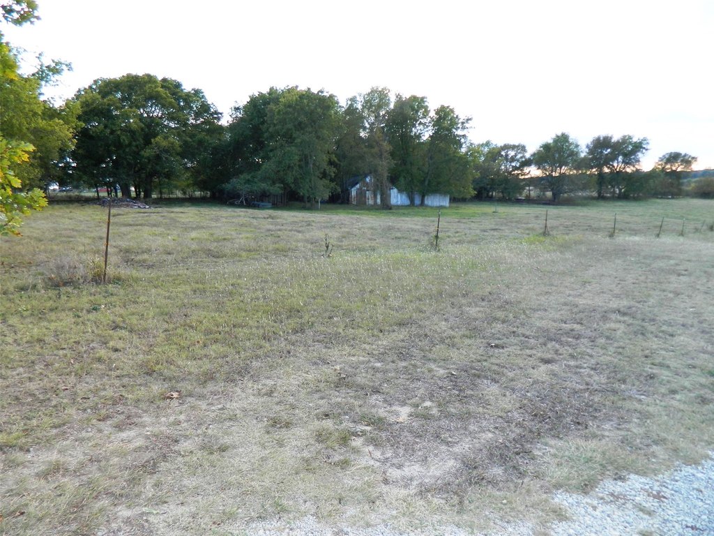 Picture 9
