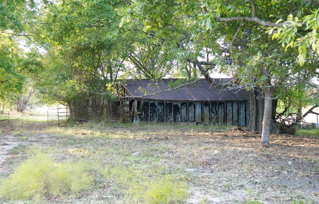 Picture 10