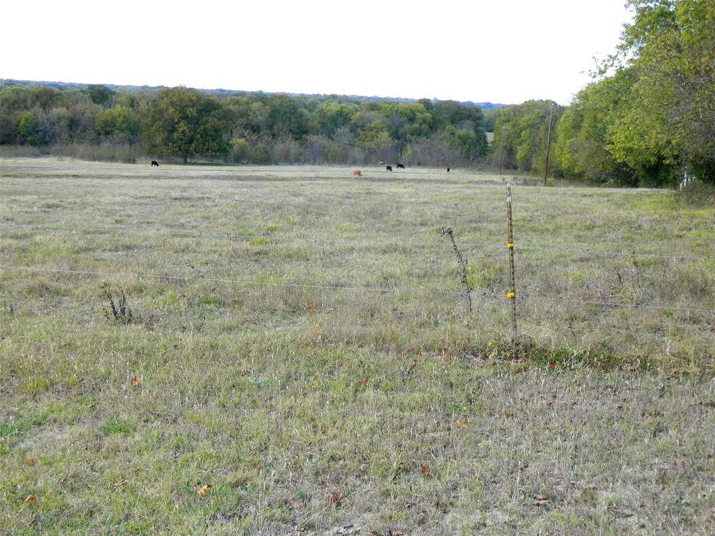 Picture 8