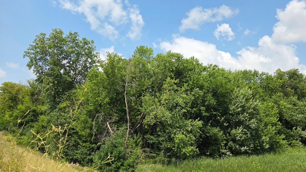Picture 23