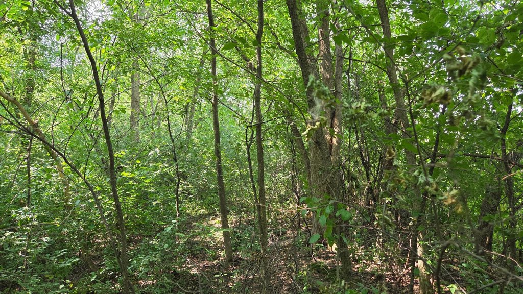 Picture 14