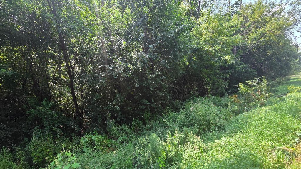Picture 22