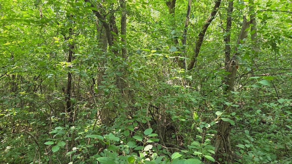 Picture 17