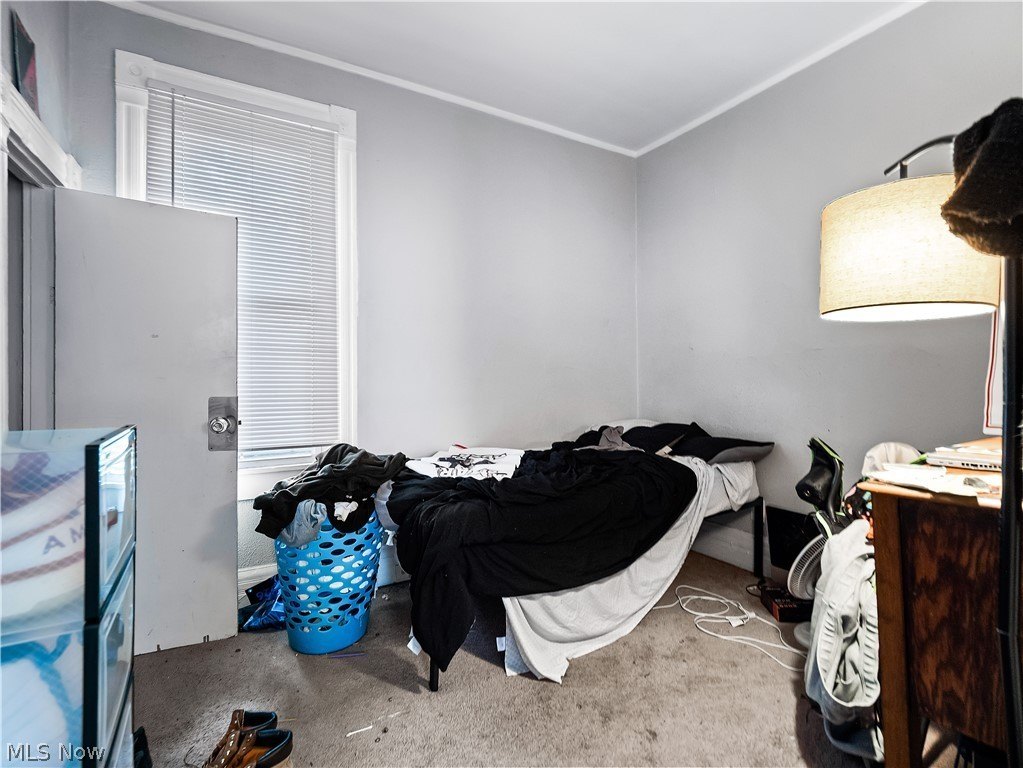 Picture 36