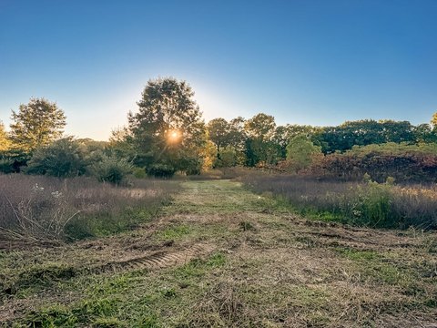 Land, Saugatuck, MI