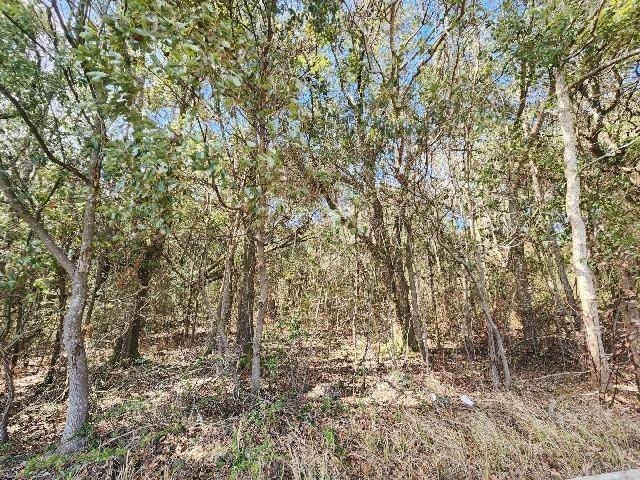 Unrestricted Land Near Irvington