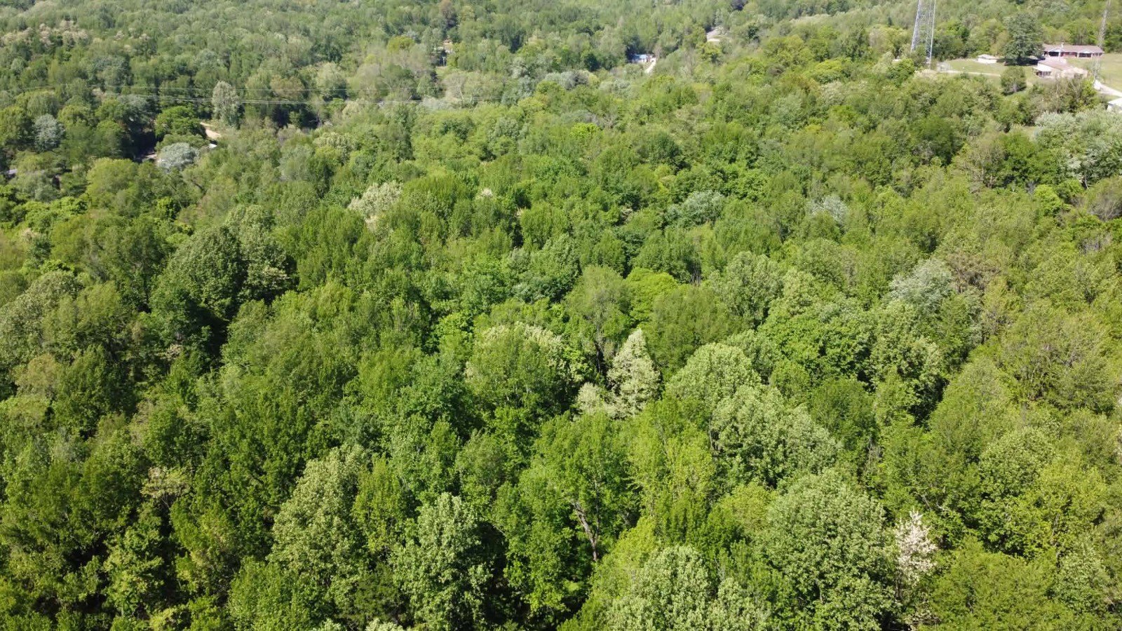 3.3 Acres Vacant Land