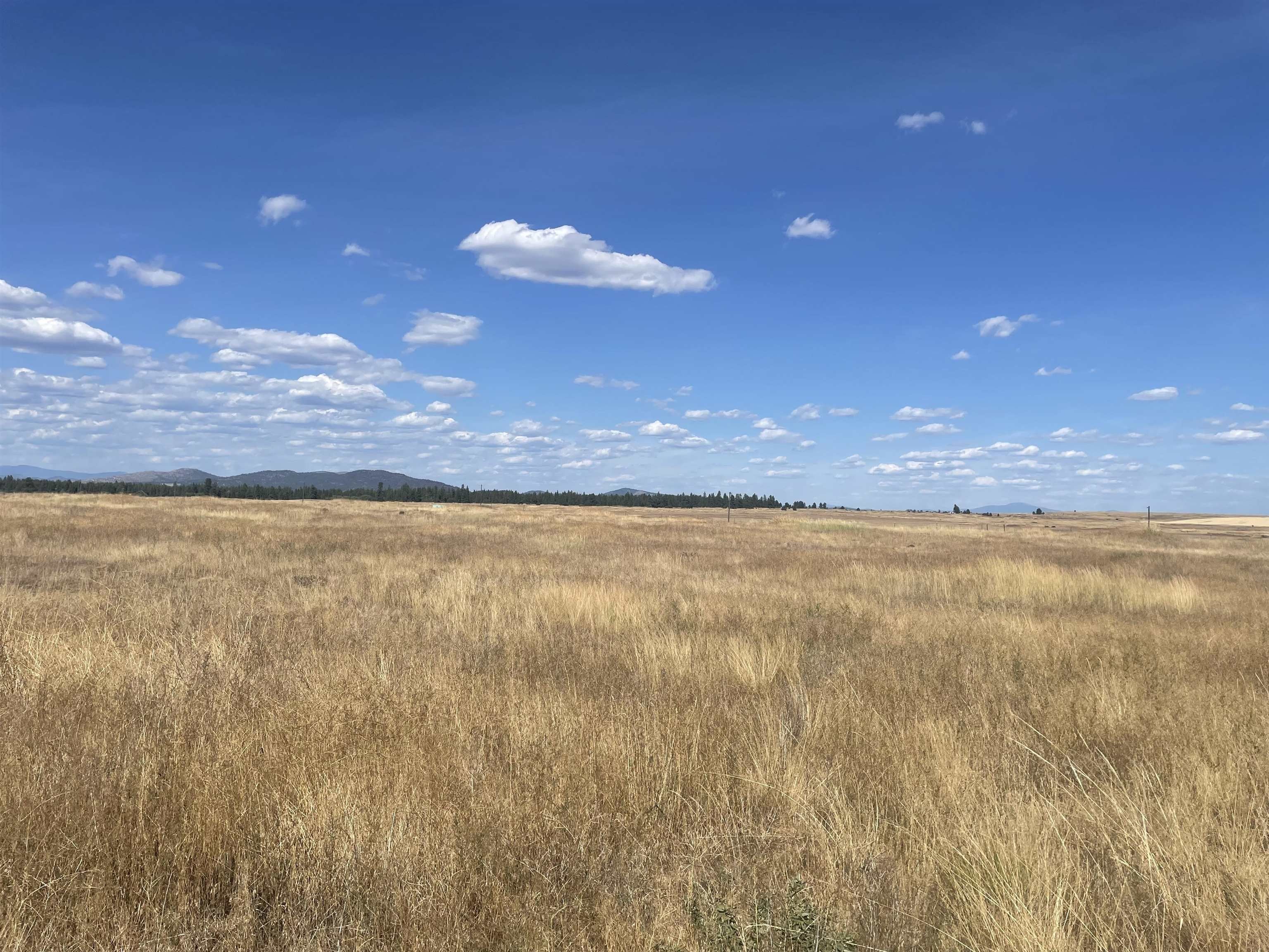 Reardan, WA Agricultural Land