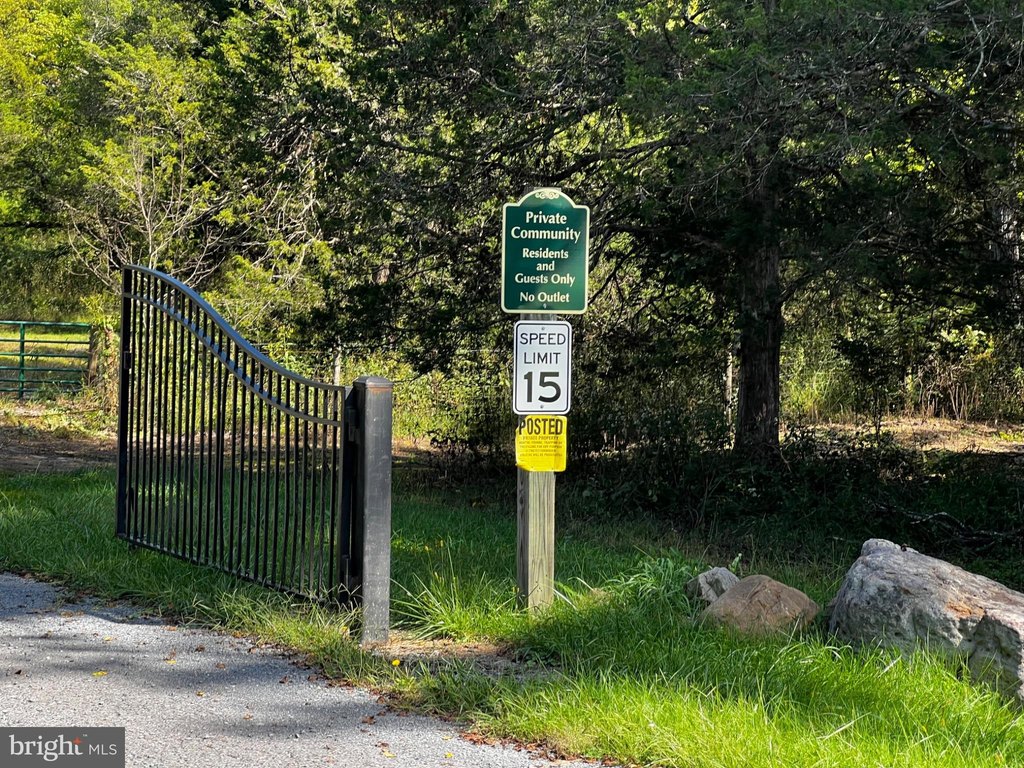 Picture 25