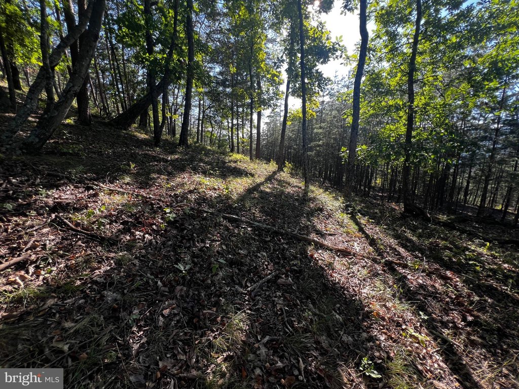 Picture 17