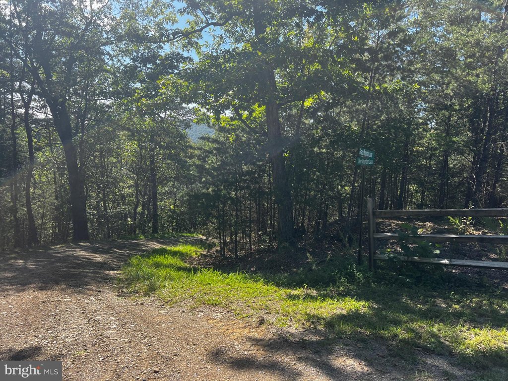 Picture 27
