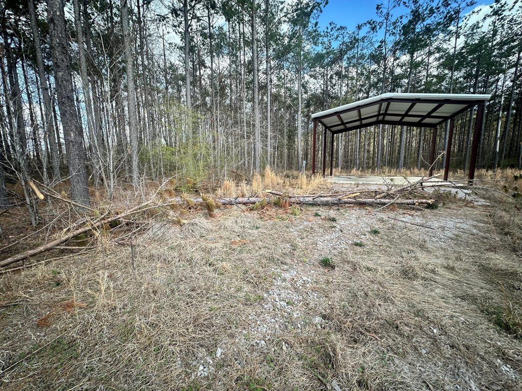Picture 6