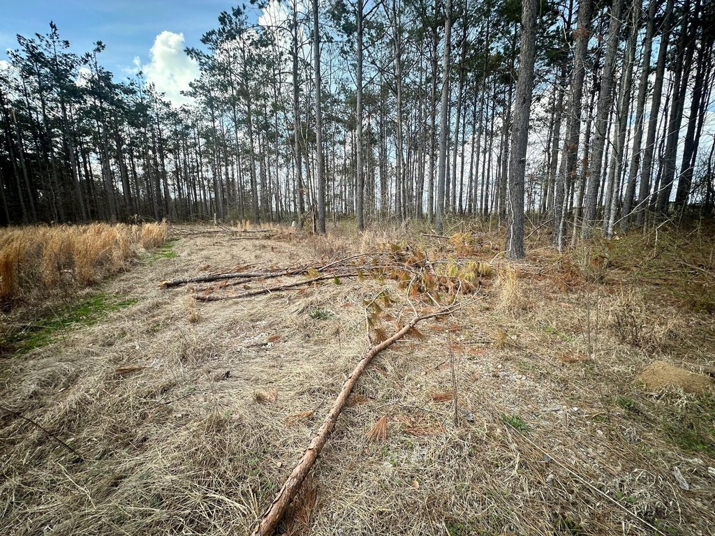 Picture 11