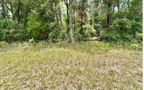 Wooded Acreage in A-1 Zoning