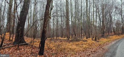 4.47 Acres Untouched Virginia Land