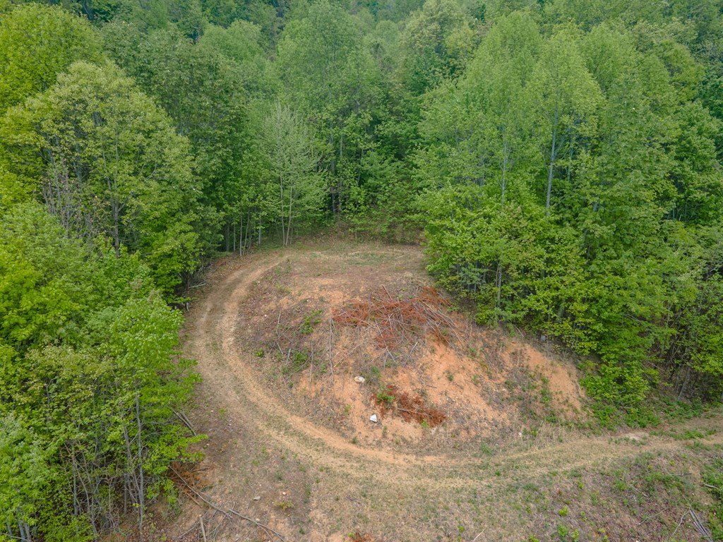 Picture 53