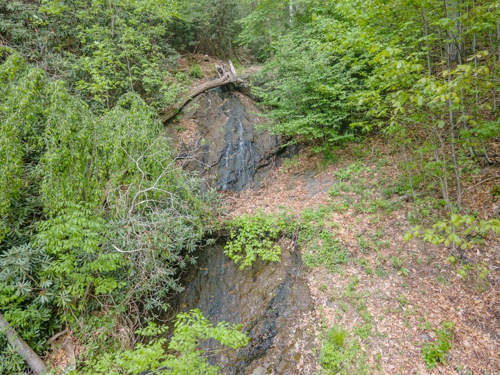 Picture 34