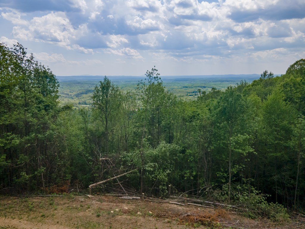 Picture 42