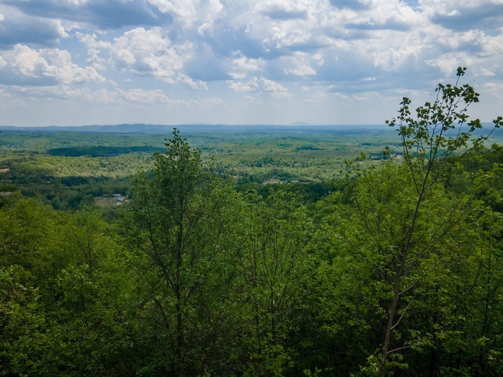 Picture 46