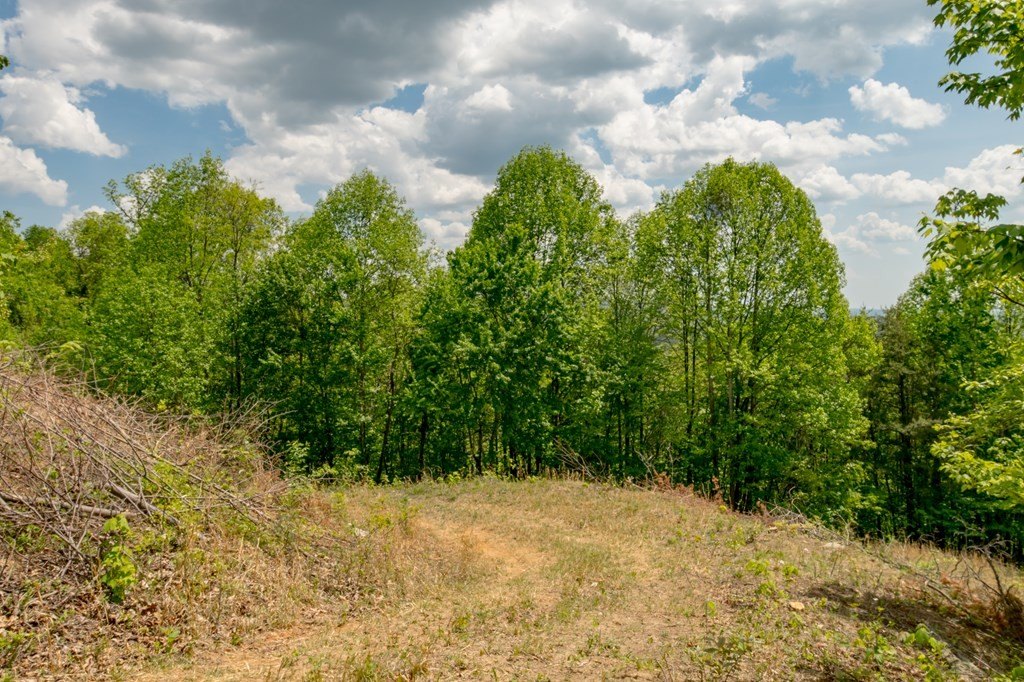 Picture 25