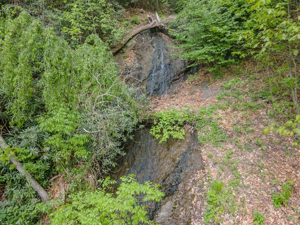 Picture 39