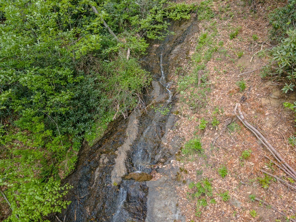 Picture 33