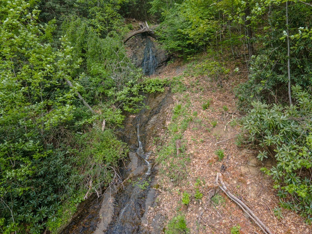Picture 32