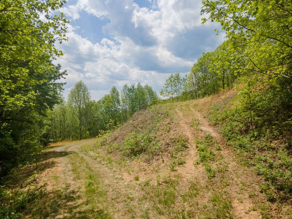 Picture 52