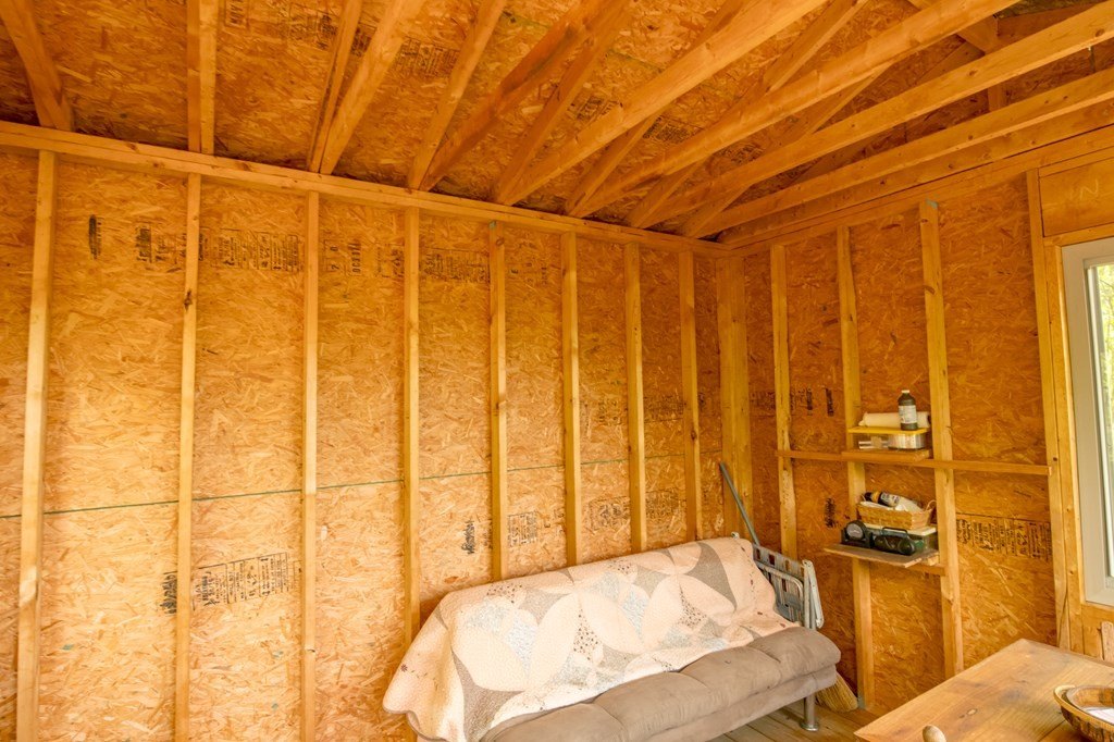 Picture 11