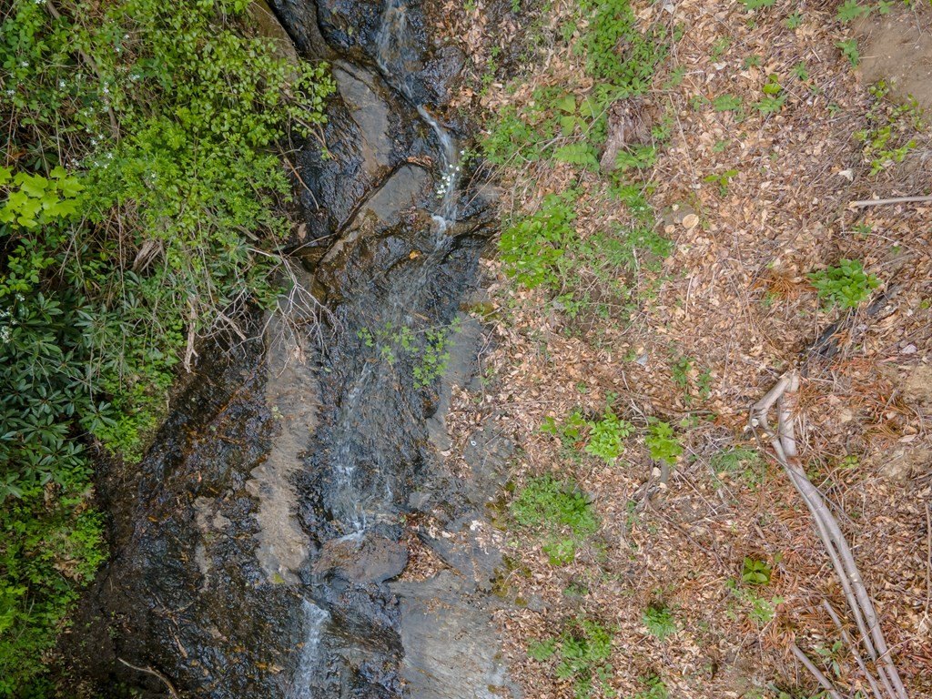 Picture 36