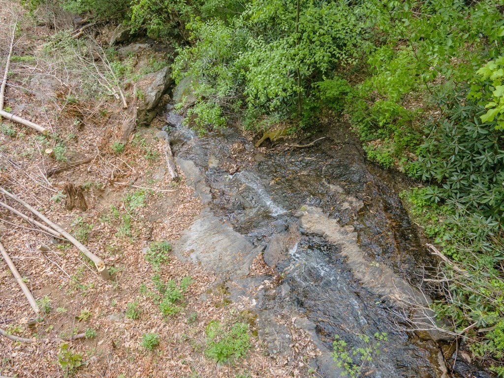 Picture 37