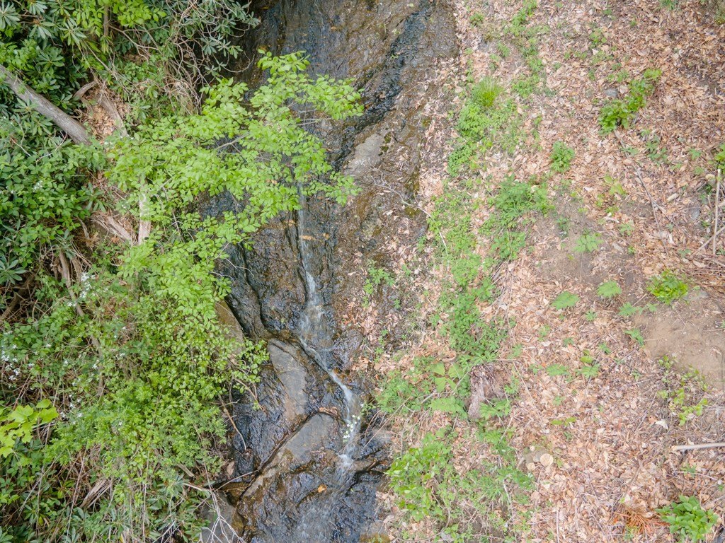 Picture 35