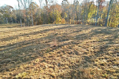 Residential Land in Savannah, TN