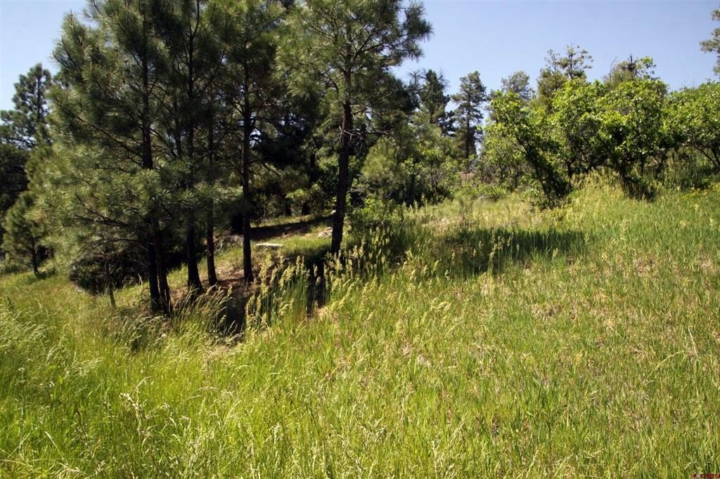 Picture 23