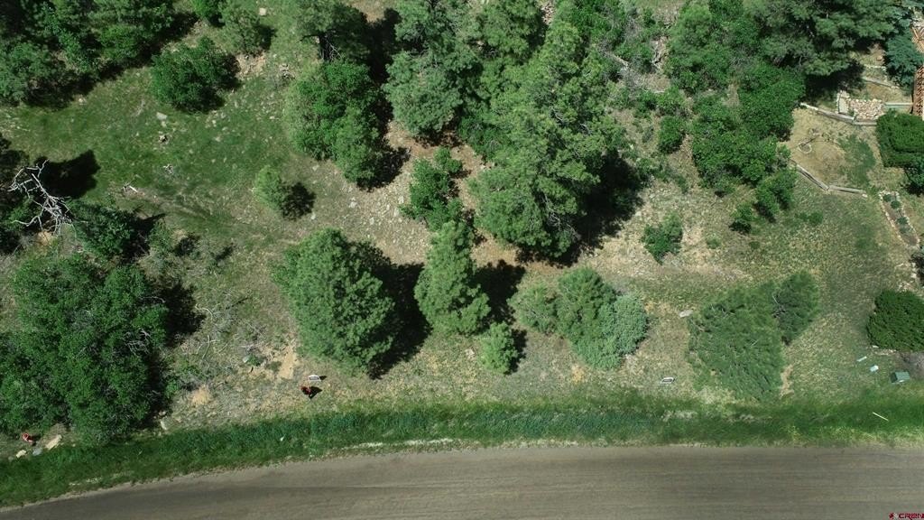 Picture 38