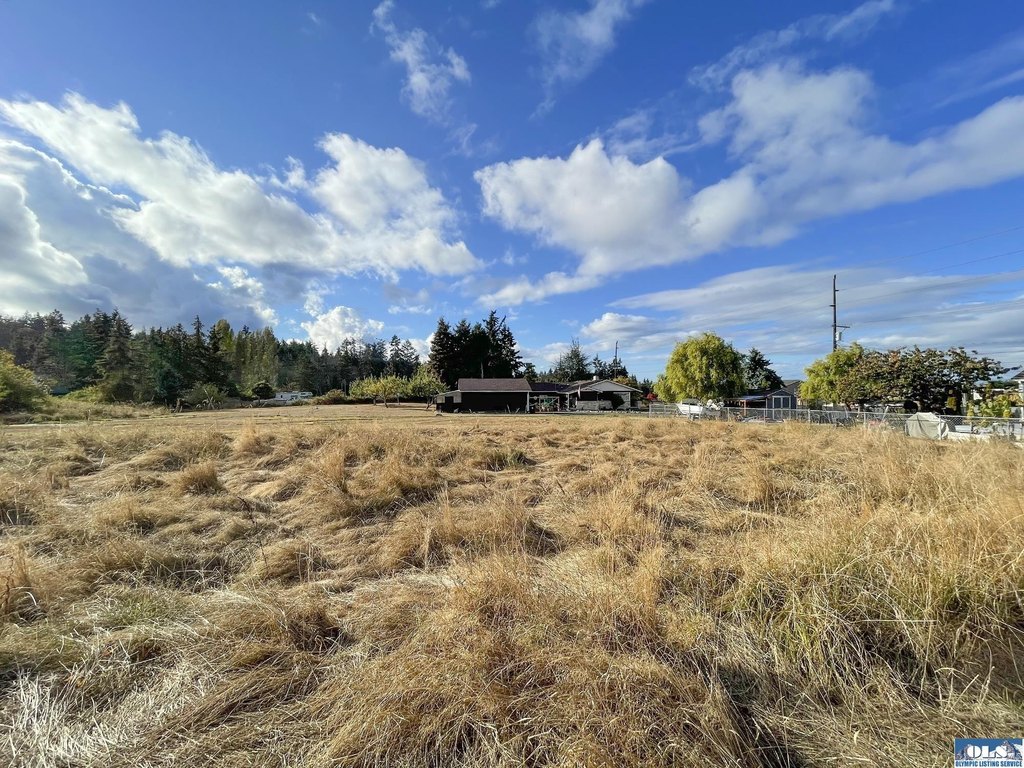 Picture 45