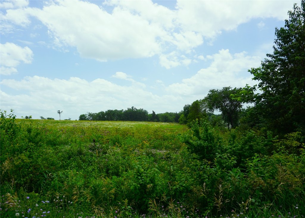 Picture 14