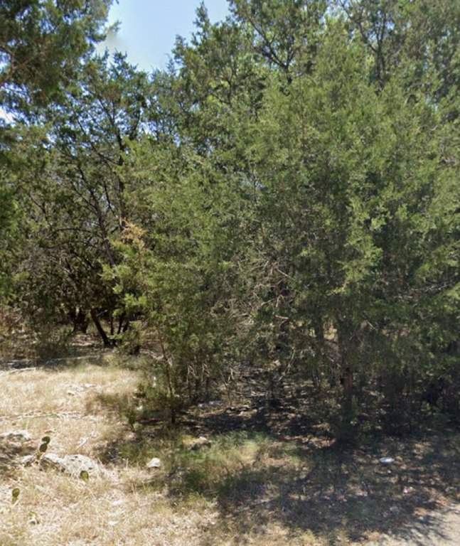 Picture 7