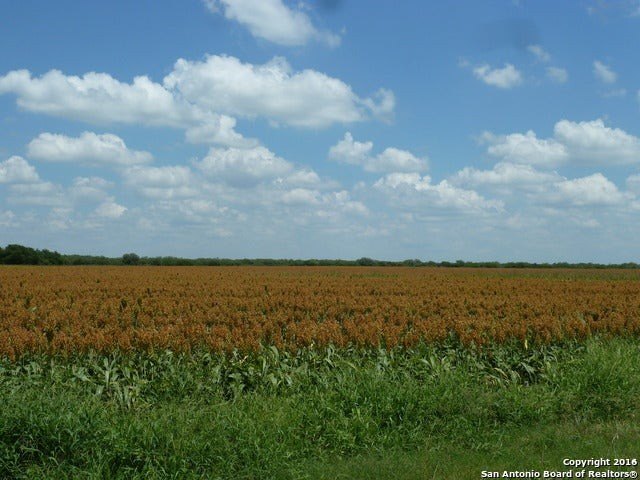 Picture 8