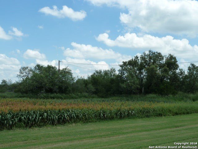 Picture 7