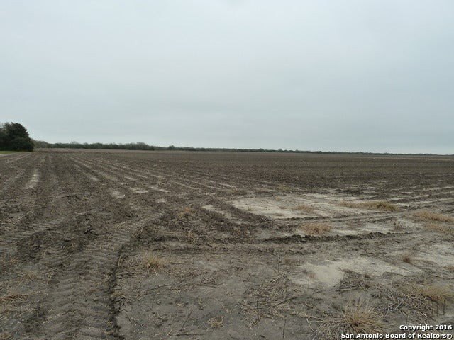 Picture 9