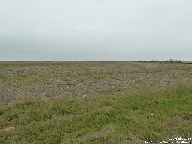 Picture 10