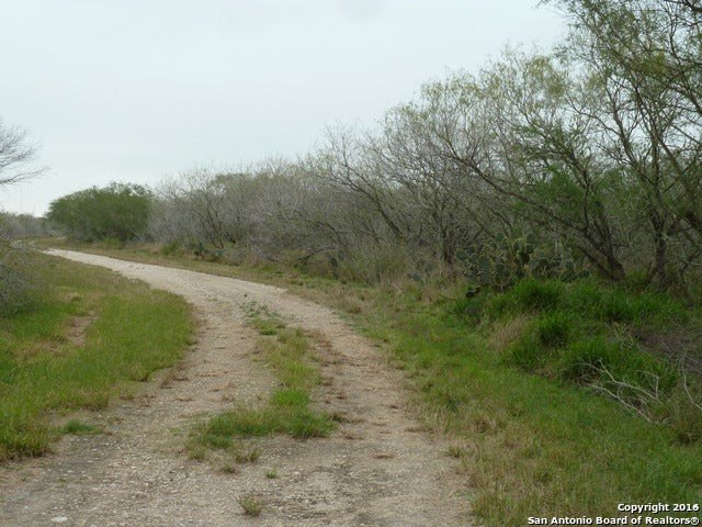 Picture 4