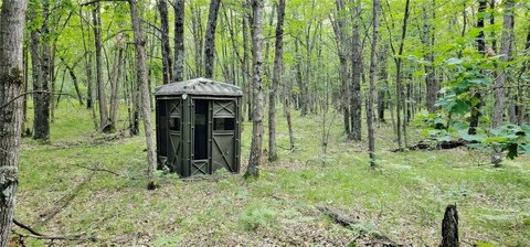 40 Acres Hunting Land Escape