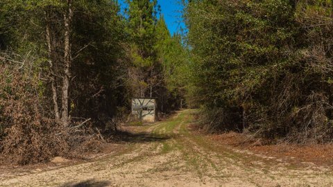 Hunting Land with Creek Frontage