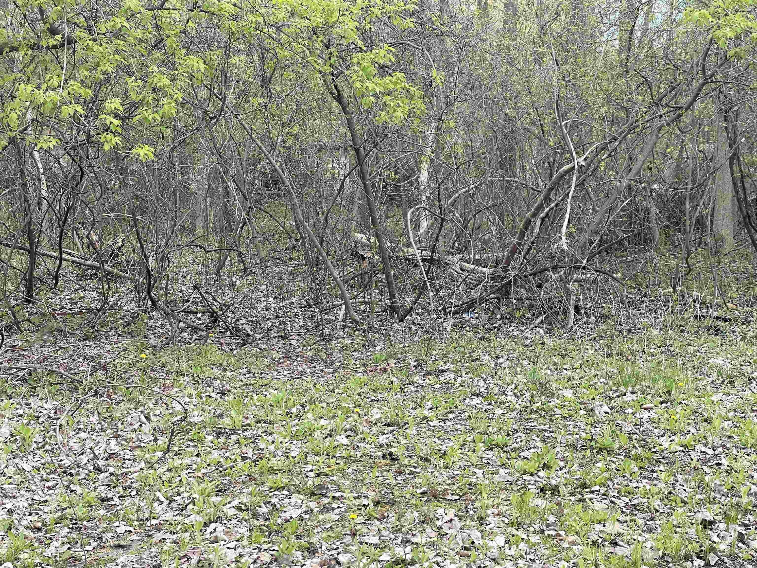 Residential Land Near Water