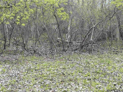 Residential Land Near Water