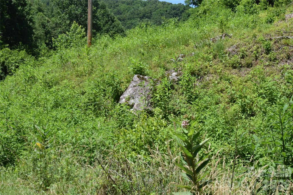 Picture 23
