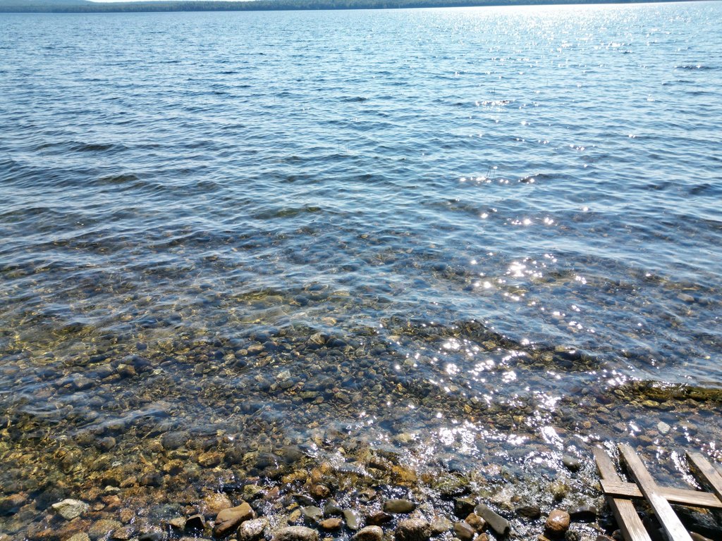 Picture 5
